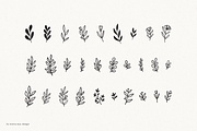 100 Hand Drawn Botanical Graphics, a Texture Illustration by Minna May Design (Thumbnail 8 of 10)
