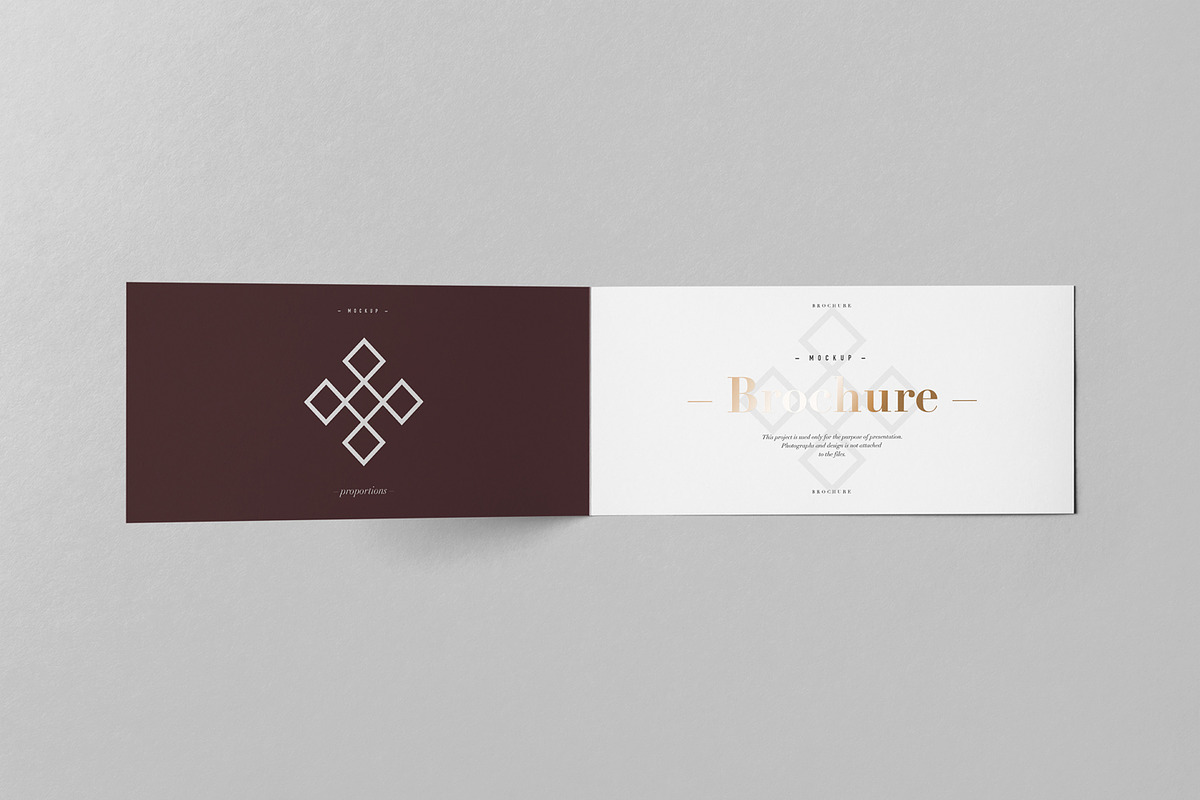 Bi-Fold DL Horizontal Brochure 2, an Advertising Mockup by Yogurt86 (Photo 14 of 14)