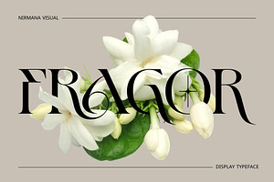 Fragor - Modern Display Serif