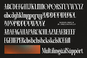 Angalter Modern Display Serif, a Script Font by timelesstype.co (Thumbnail 19 of 20)