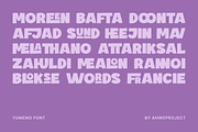 Yameno, a Sans Serif Font by ahweproject (Thumbnail 7 of 10)