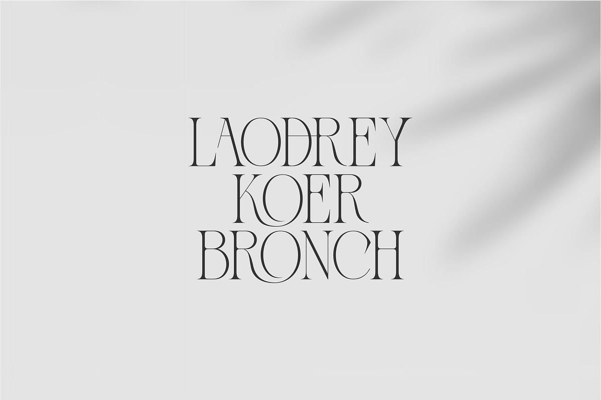 Zaslia - Elegant Ligature Serif, a Serif Font by suhadidesign (Photo 6 of 14)