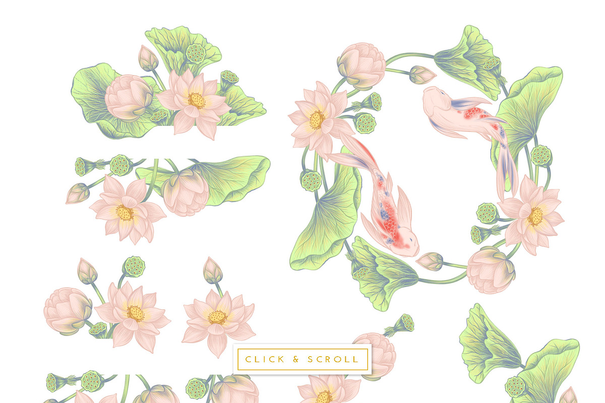LOTUS- patterns & motifs, a Decorative Illustration by Liiafis (Photo 13 of 17)