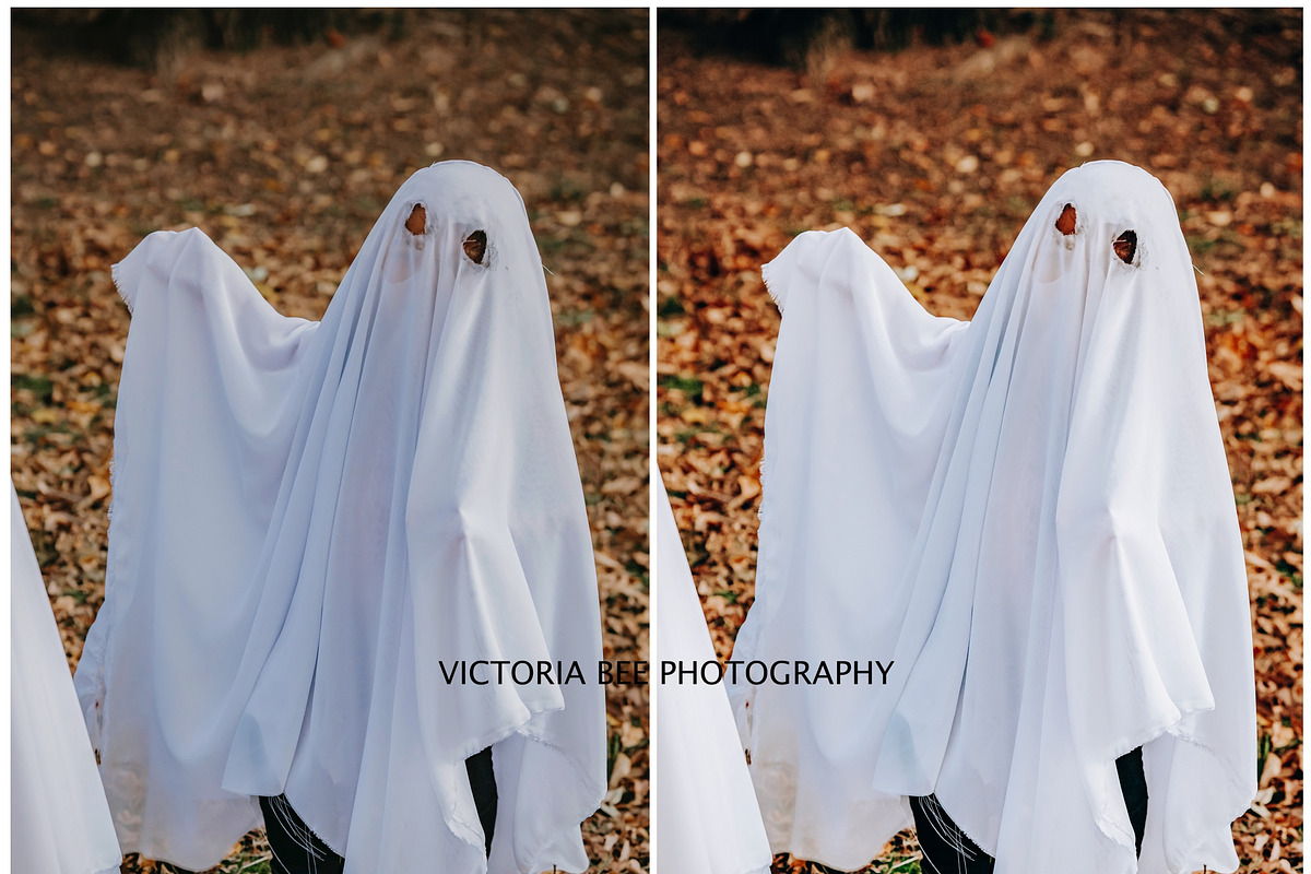 15 FALL LIGHTROOM PRESET OCTOBER, a Preset Add-On by Victoria Bee Presets (Photo 3 of 11)