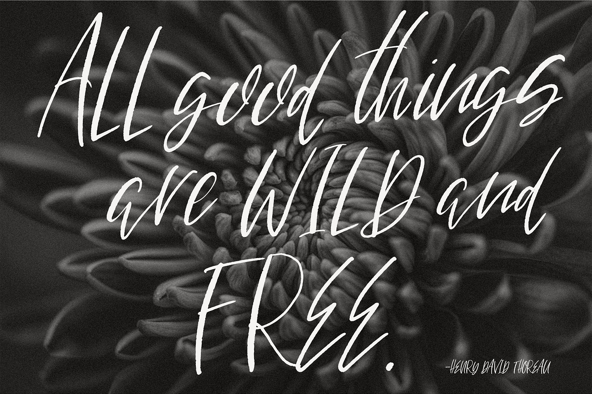 Bountiful Handlettered Font preview 3