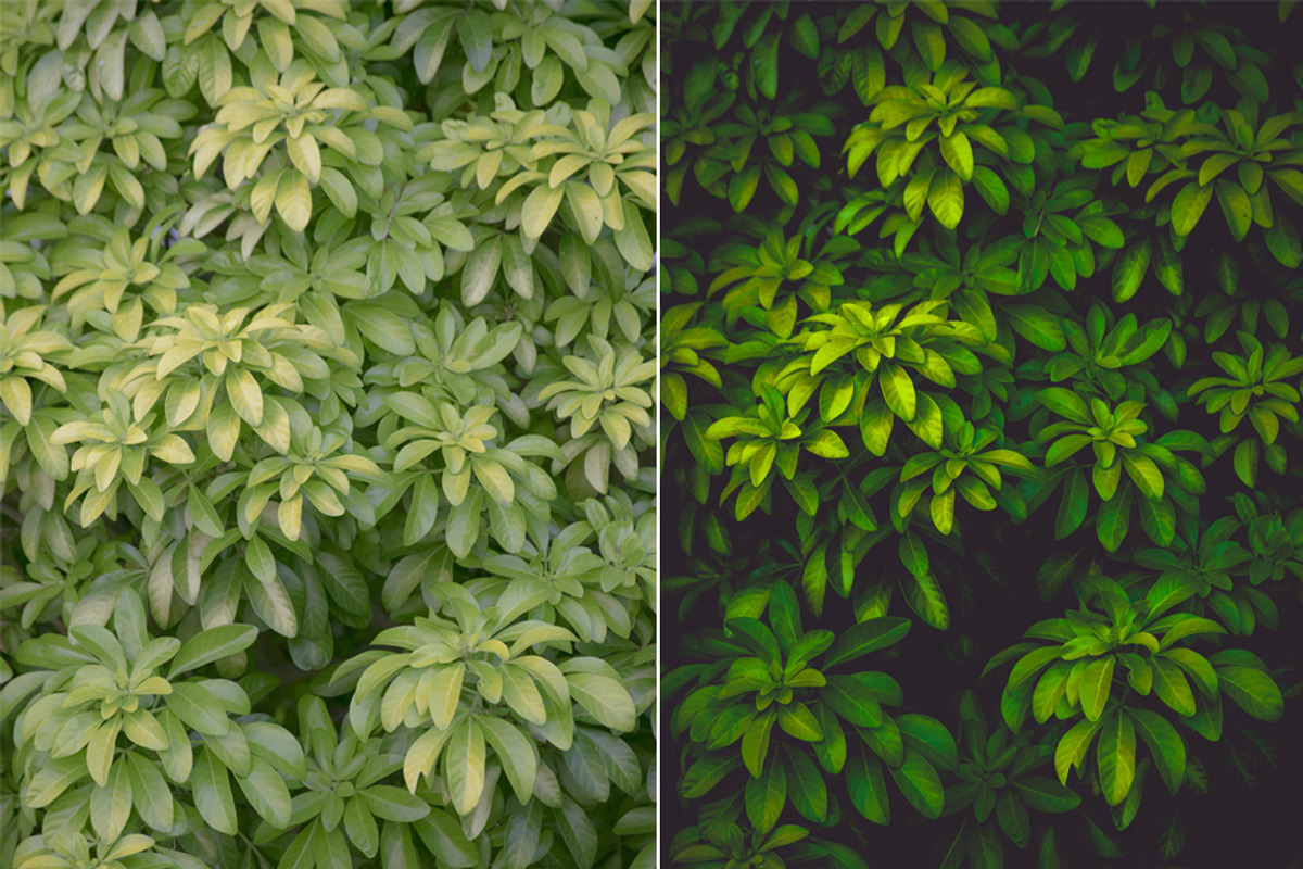Summer Adventure - Lightroom Presets, a Plug-in Add-On by ELITE ARTISTS (Photo 8 of 10)