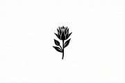 Elegant Floral Bundle, an Illustration by hafijul (Thumbnail 21 of 21)