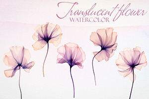 Watercolor Translucent Flower Vector