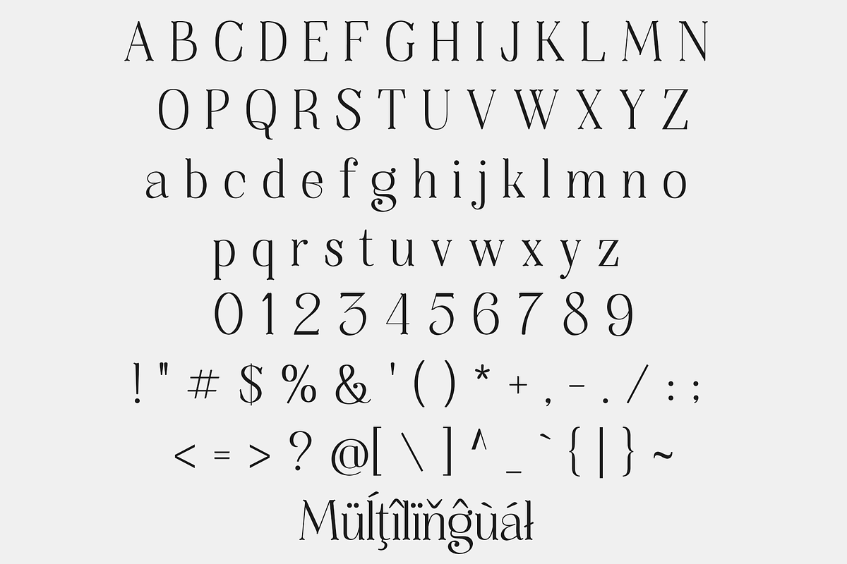 Thenyodia – Font Family, a Serif Font by NDNL Studio (Photo 11 of 12)