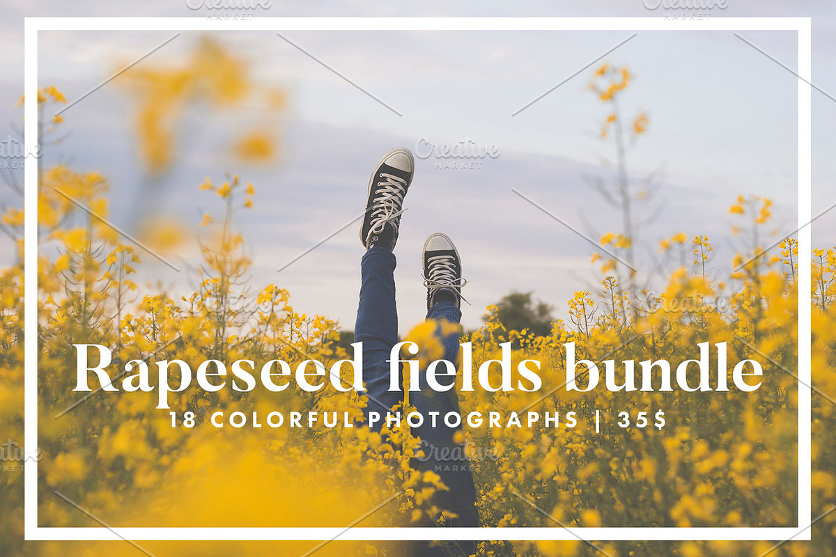 Rapeseed fields photo bundle, a Nature Photo by Mukuko Studio (Photo 1 of 5)