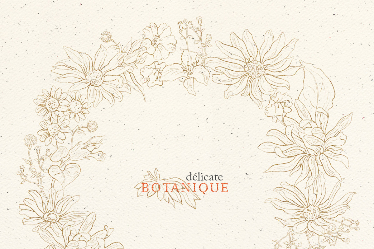 Pencil flowers | delicate drawings, an Illustration by GrafikBoutique (Photo 8 of 9)