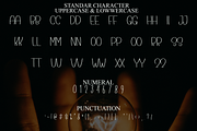 Minimalist Handmade, a Serif Font by FreshTypeINK (Thumbnail 7 of 8)