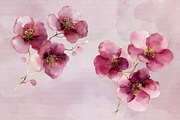 Burgundy Flowers Abstract Clipart, an Illustration by Douce Créativité (Thumbnail 3 of 9)
