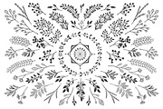 Bloom Сollection, a Decorative Illustration by Luba Vega (Thumbnail 2 of 6)