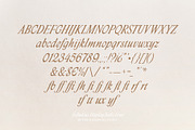 Fabulous Display Italic Font, a Serif Font by Type and Graphics Studio (Thumbnail 16 of 18)