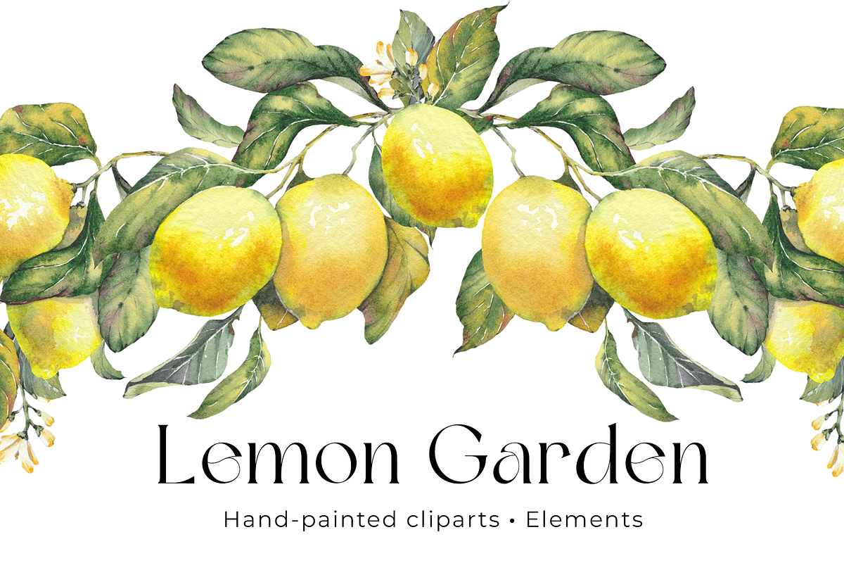 Lemon Garden Watercolor Cliparts, a Decorative Illustration by Jeanna Draw (Photo 1 of 11)
