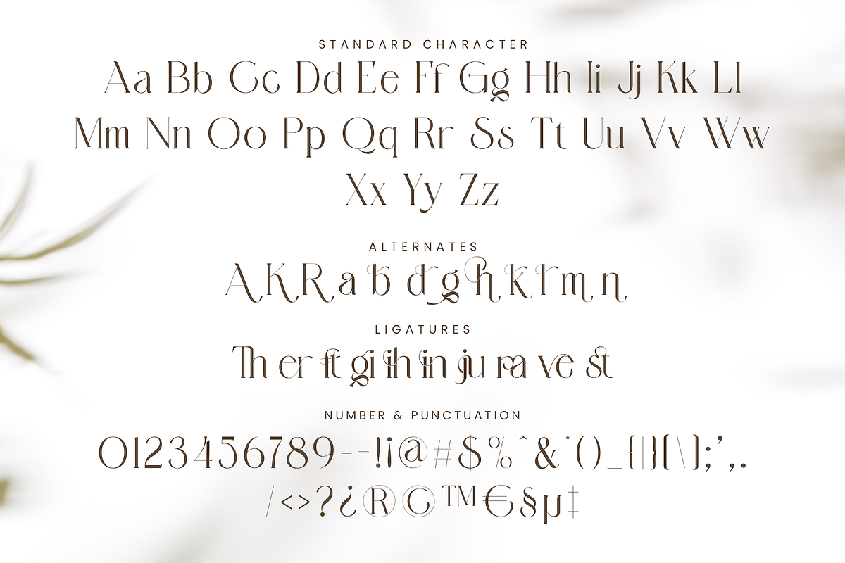 Megisin - Elegant Display Serif Font, a Serif Font by PuriCreative (Photo 9 of 10)