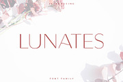 Lunates Font Family – Sans Serif, a Sans Serif Font by RC graphics (Thumbnail 1 of 9)