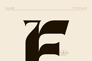 Skine, a Font by ngene (Thumbnail 12 of 13)