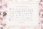 Mielssai | Beauty Chic Font, a Script Font by Denustudios (Thumbnail 11 of 12)