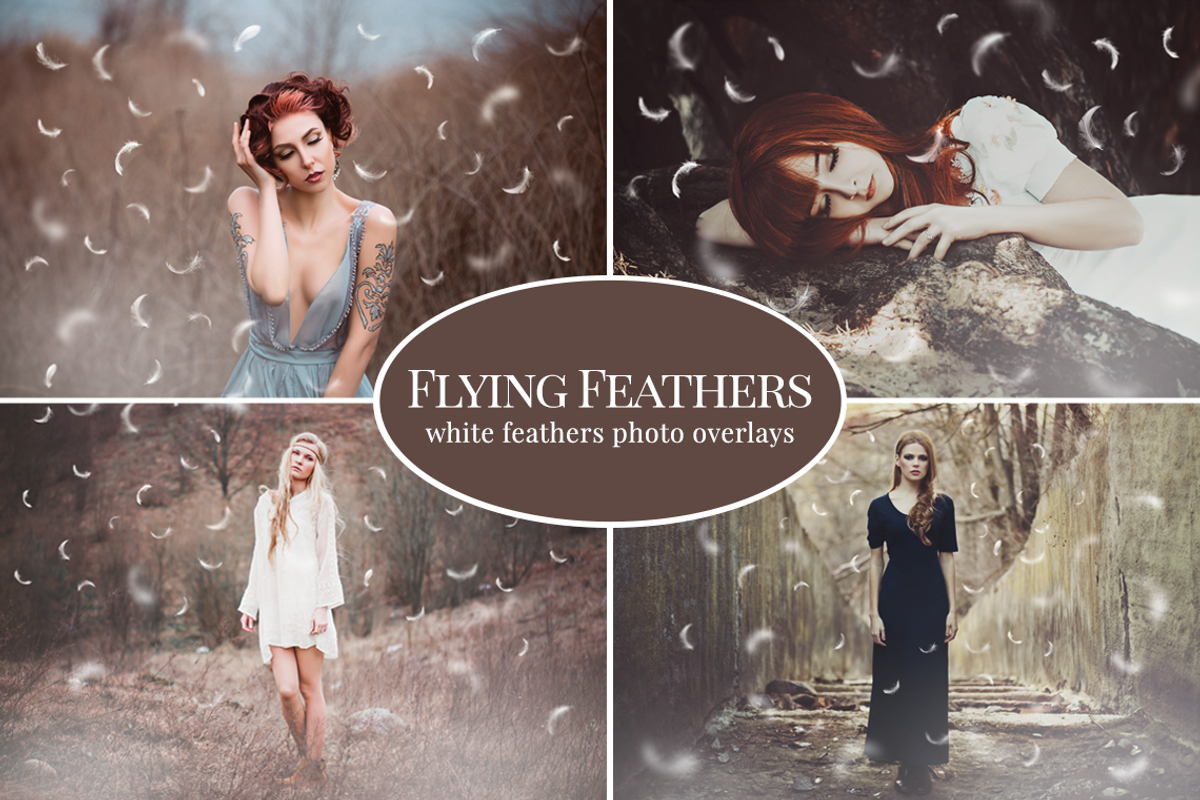 Flying Feathers photo overlays, an Object Graphic by BrownLeopard (Photo 1 of 6)