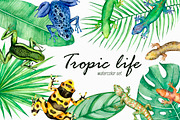 Tropic life Watercolor set, an Animal Illustration by Green_leaf_17 (Thumbnail 1 of 6)