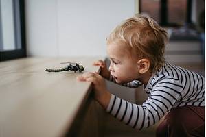 Cute toddler boy is playing with, a Person Photo by HalfPoint
