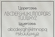 Aero | Sans serif Typeface, a Sans Serif Font by Randomtypesht (Thumbnail 2 of 7)