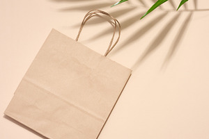 Empty disposable brown kraft paper bag with handles on beige bac, an Abstract Photo by ndanko