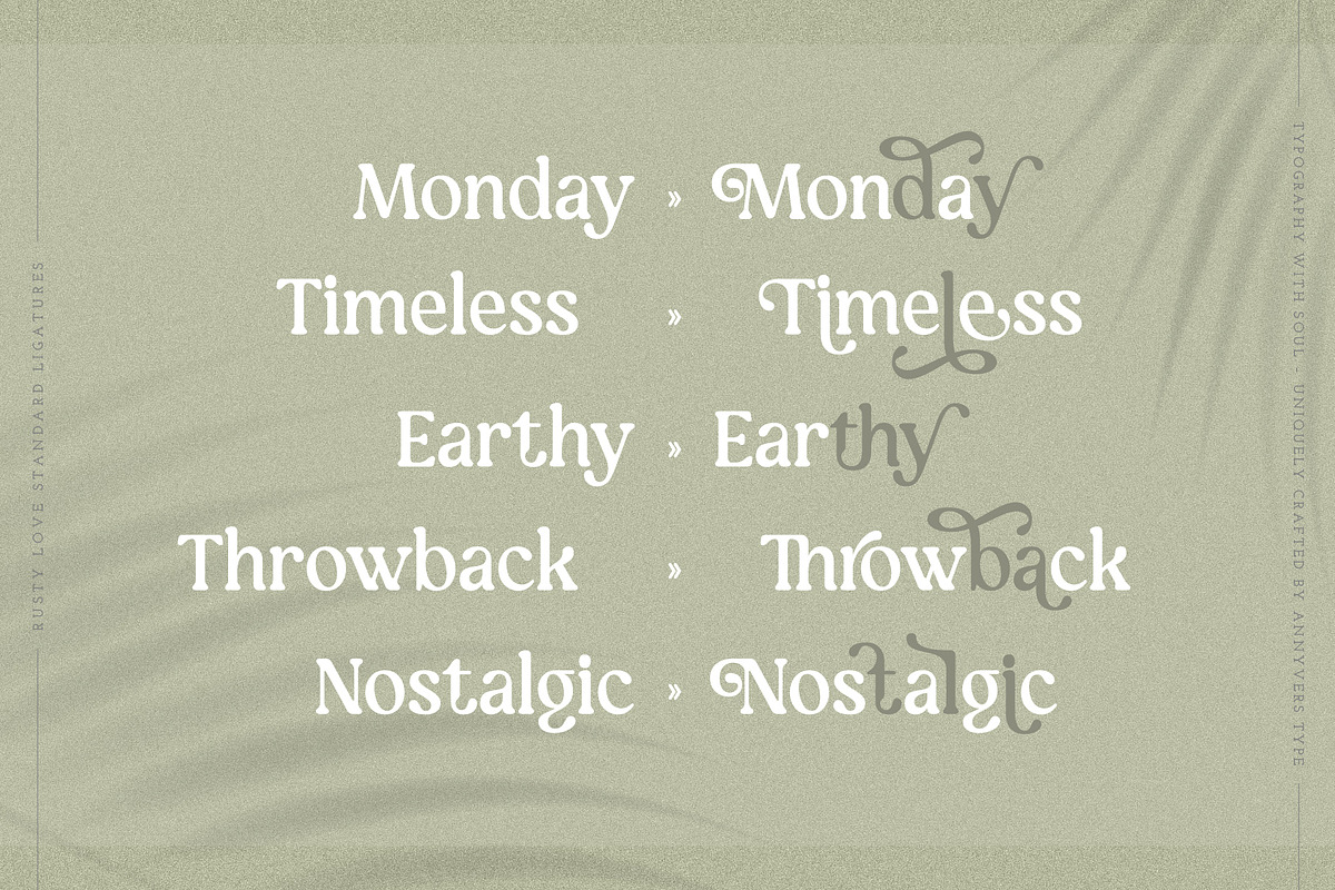 Rusty Love - Retro Vintage Charm, a Serif Font by Annivers Type (Photo 5 of 10)