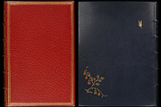 Antique Book Covers, a Texture Graphic by Blue Line Design (Thumbnail 14 of 24)