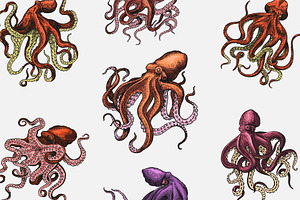 Sea Octopus Set. Creature Drawing.