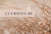 Dreamcatchers | Playful Sans Serif, a Sans Serif Font by MoonLake (Thumbnail 3 of 7)