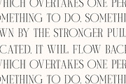 Milegance Modern Display Serif, a Serif Font by Letterena Studios (Thumbnail 10 of 15)