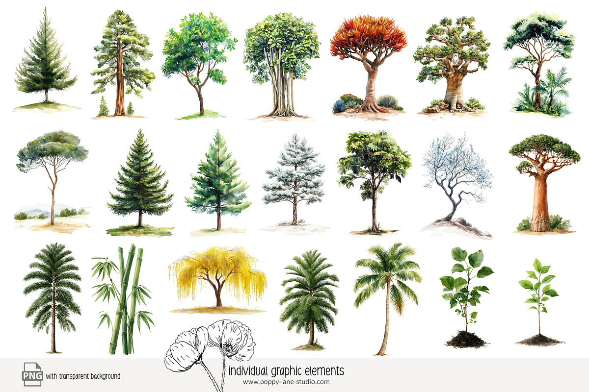 100 watercolour global tree clip art, a Seasonal Illustration by Poppy Lane Studio (Photo 6 of 11)