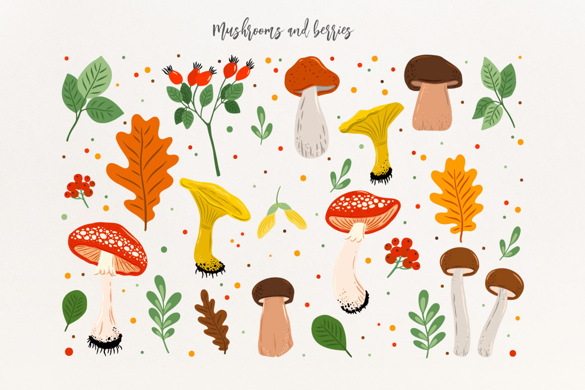 Autumn Harvest collection, an Object Graphic by DariSmartArt (Photo 5 of 17)