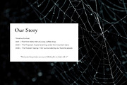 Spider Web Overlay Bundle, a Background Photo by M9 Design (Thumbnail 3 of 10)