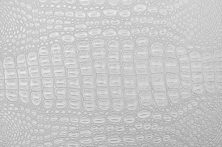 White crocodile leather texture featuring crocodile, leather, and white, an Abstract Photo by Eugene_Photo