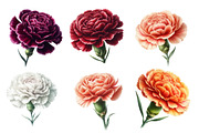 Whimsical anyelier flower spring Cl, an Illustration by Designworld (Thumbnail 2 of 4)