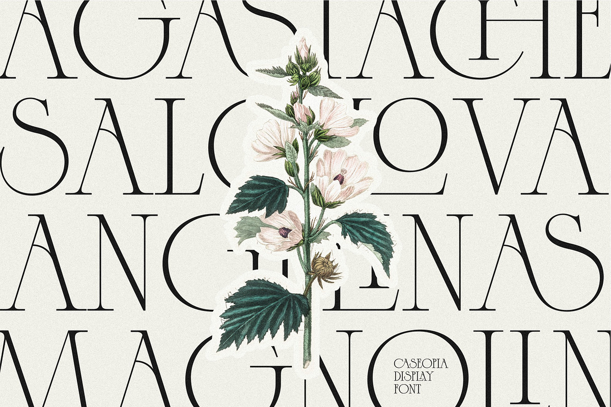 Caseopia Elegant Display Serif Font, a Serif Font by Letteralle Studios (Photo 4 of 10)