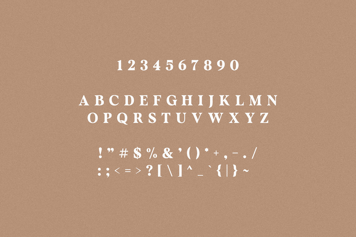 Avenger - Vintage Serif, a Serif Font by Schrifted Type (Photo 7 of 8)