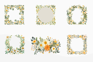 Watercolor Daisy Clipart PNG Files