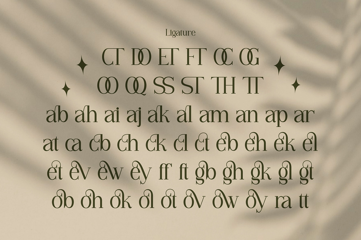 Vianeka -  Modern Luxury Serif Font, a Serif Font by Flawless And Co (Photo 10 of 10)