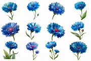 Whimsical cornflower Flower Clipar, an Illustration by Designworld (Thumbnail 2 of 7)