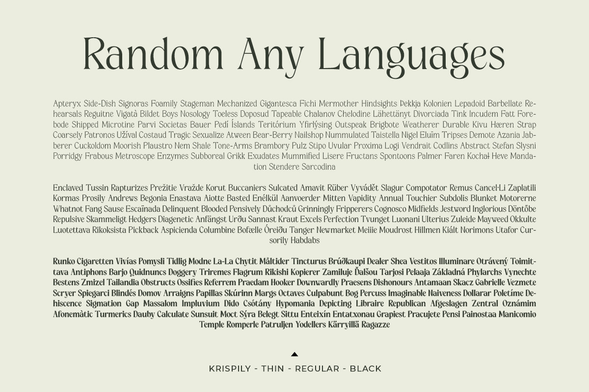 Grispily, a Serif Font by Black Studio (Photo 7 of 16)