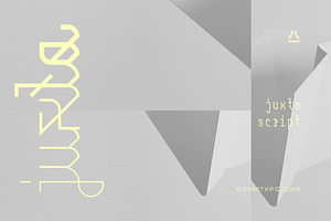 Juxta Script | 7 fonts, a Script Font by NAUM