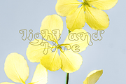 Sunbursting Typeface, a Serif Font by Rachel McBride Creative (Thumbnail 9 of 10)