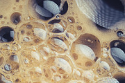Coffee bubbles, a Background Graphic by outlinez (Thumbnail 2 of 11)