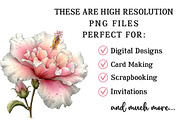 Whimsical Summer Clipart, an Illustration by OK Design (Thumbnail 5 of 6)