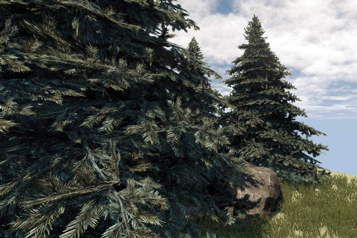 Fir Tree, an Environmental 3D Model by Game-Ready Studio (Photo 2 of 5)